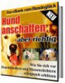 Hund anschaffen aber richtig 